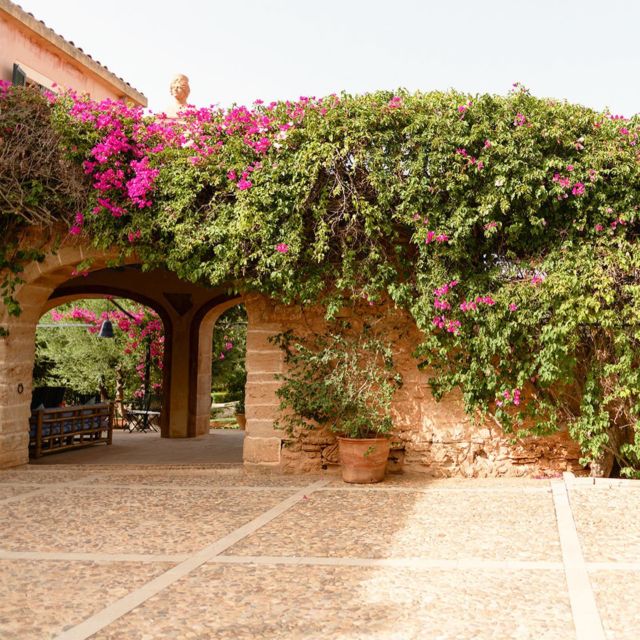 The Mediterranean spirit is full of life and vibrancy, and is well known with its stunning architecture and lush gardens filled with vibrant flowers 🌺

—————————————————————

#weddingdestinations #mallorcahochzeit #heiratenaufmallorca#weddingplannermallorca#weddinginspiration#weddingplanning#mallorcaprincess#luxurywedding#luxuryweddingplanner#weddingdecor #weddingideas#topweddingplanner#weddingvenue#mallorcaweddingflowers#mallorcaweddingvenue#mallorcawedding#weddinginspiration#weddinglights#glamorouswedding#weddininnature#weddinginmallorca2023#weddinginmallorca#heiraten2023#heiratenaufmallorca#hochzeit#hochzeitsdeko#hochzeitslocation#hochzeitplanen#braut2023#mallorcahochzeitsplanner#bestwedding#bestweddingplanner